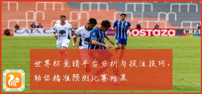 世界杯竞猜平台分析与投注技巧，助你精准预测比赛结果