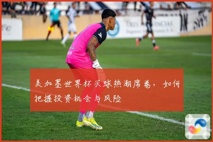 美加墨世界杯买球热潮席卷，如何把握投资机会与风险