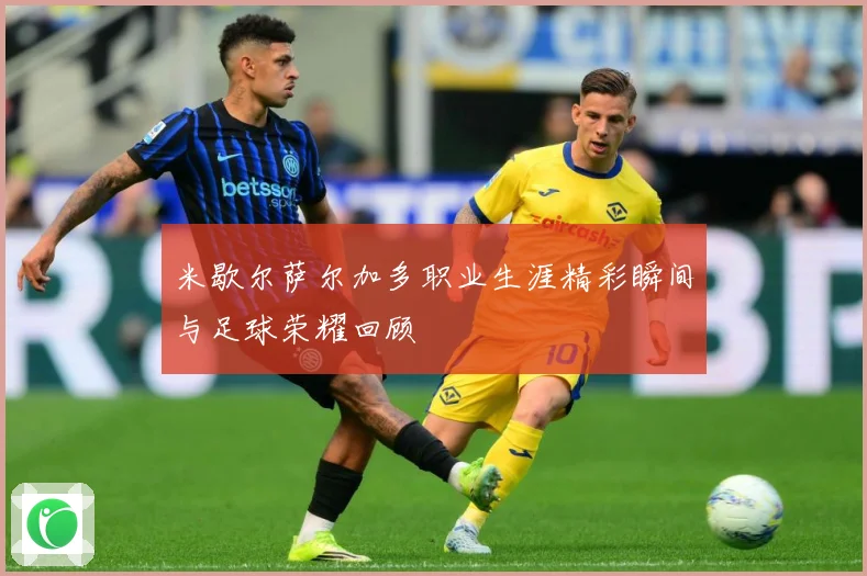 米歇尔萨尔加多职业生涯精彩瞬间与足球荣耀回顾