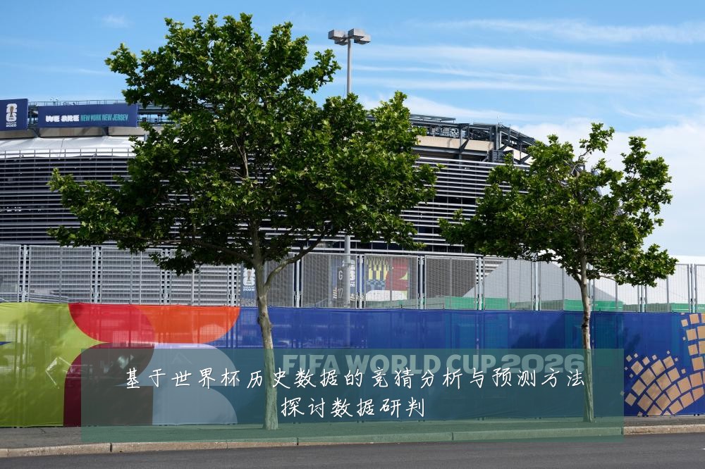 基于世界杯历史数据的竞猜分析与预测方法探讨数据研判